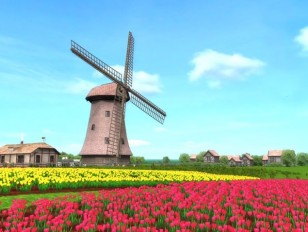 Hare windmills