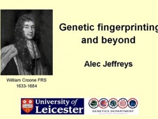Jeffreys