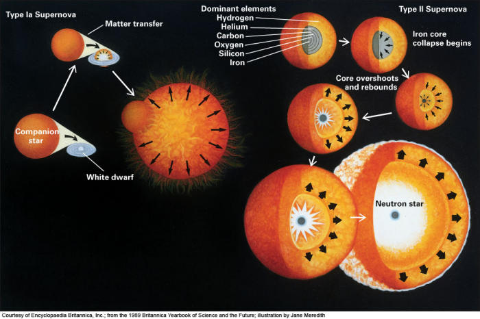 elements formed in stellar nucleosynthesis elements formed in stellar nucleosynthesis