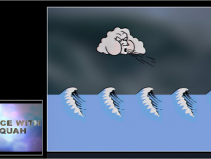 swaas3.png