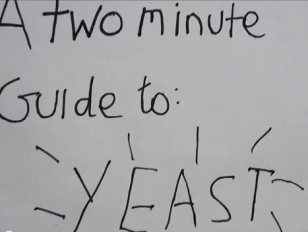 Kings - Yeast