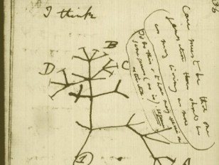 6 Updated Notions on Darwinian Evolution - Lindau-Nobel - Werner Arber - Medicine 2011