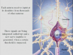 8 Signals and Signalling Mechanisms in the Central Nervous System - Lindau-Nobel - Erwin Neher - Medicine 2011