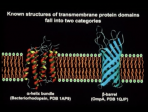 Conformational Plasticity of G-Protein-Coupled Receptors (GPCRs) studied by NMR in Solution Lindau-Nobel Kurt Wuthrich 2013
