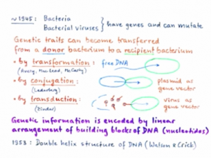 Cultural Values of Scientific Knowledge Lindau-Nobel Werner Arber 2013