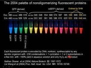 Moecules Against - L-N - Tsien - Medicine 2014