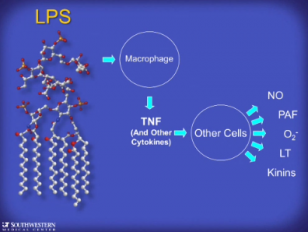 Finding mutations