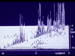 NMR in Biology, Chemistry and Medicine
